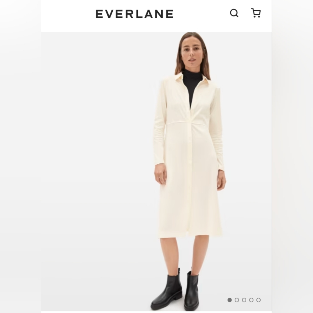 Luxe Cotton Shirtdress, Everlane
